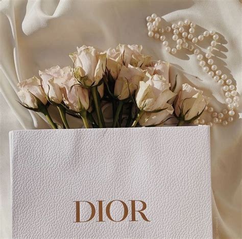 gold dior aesthetic|Top 10 dior gold aesthetic ideas and inspiration .